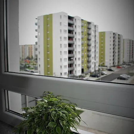 Your In Брашов